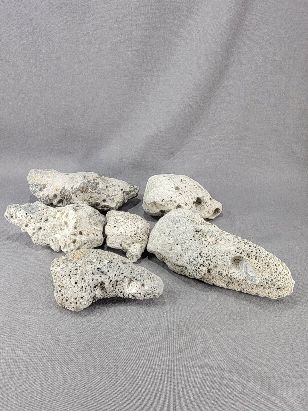 Florida Beach Fossil Stone Rock Mixed Lot of 6 Coastal Ocean Craft Decor